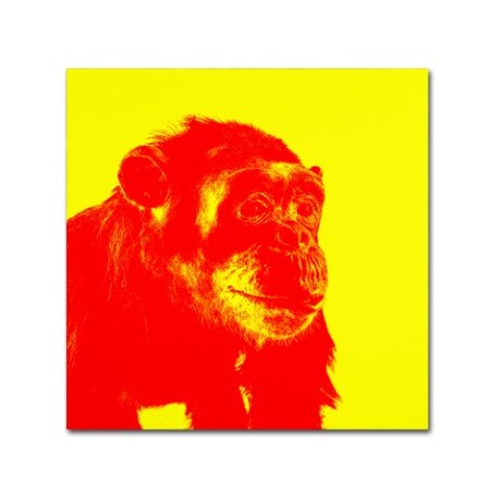 Trademark Fine Art Claire Doherty 'Chimp No 4' Canvas Art, 14x14 CDO0153-C1414GG